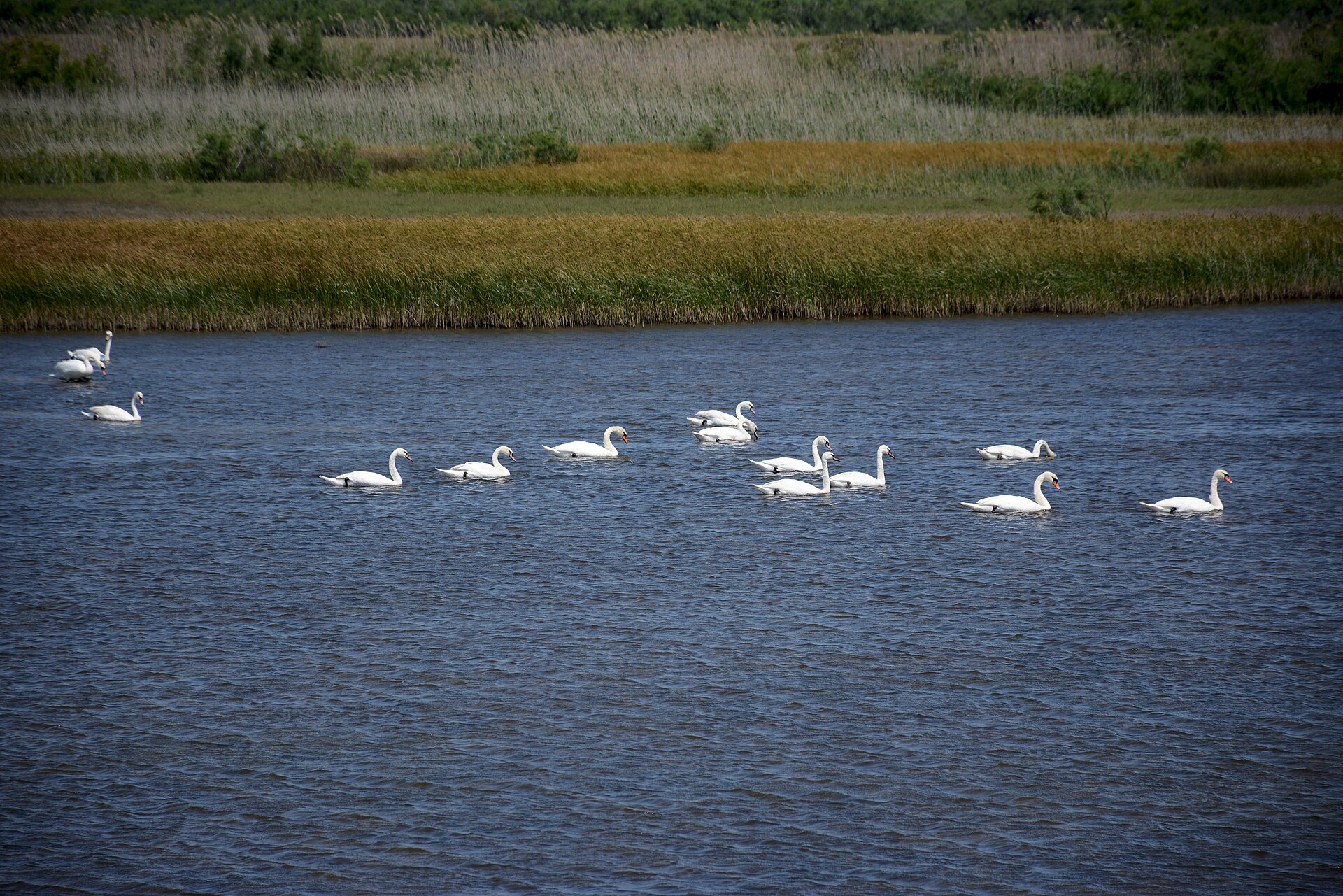 Evros Delta Wetlands