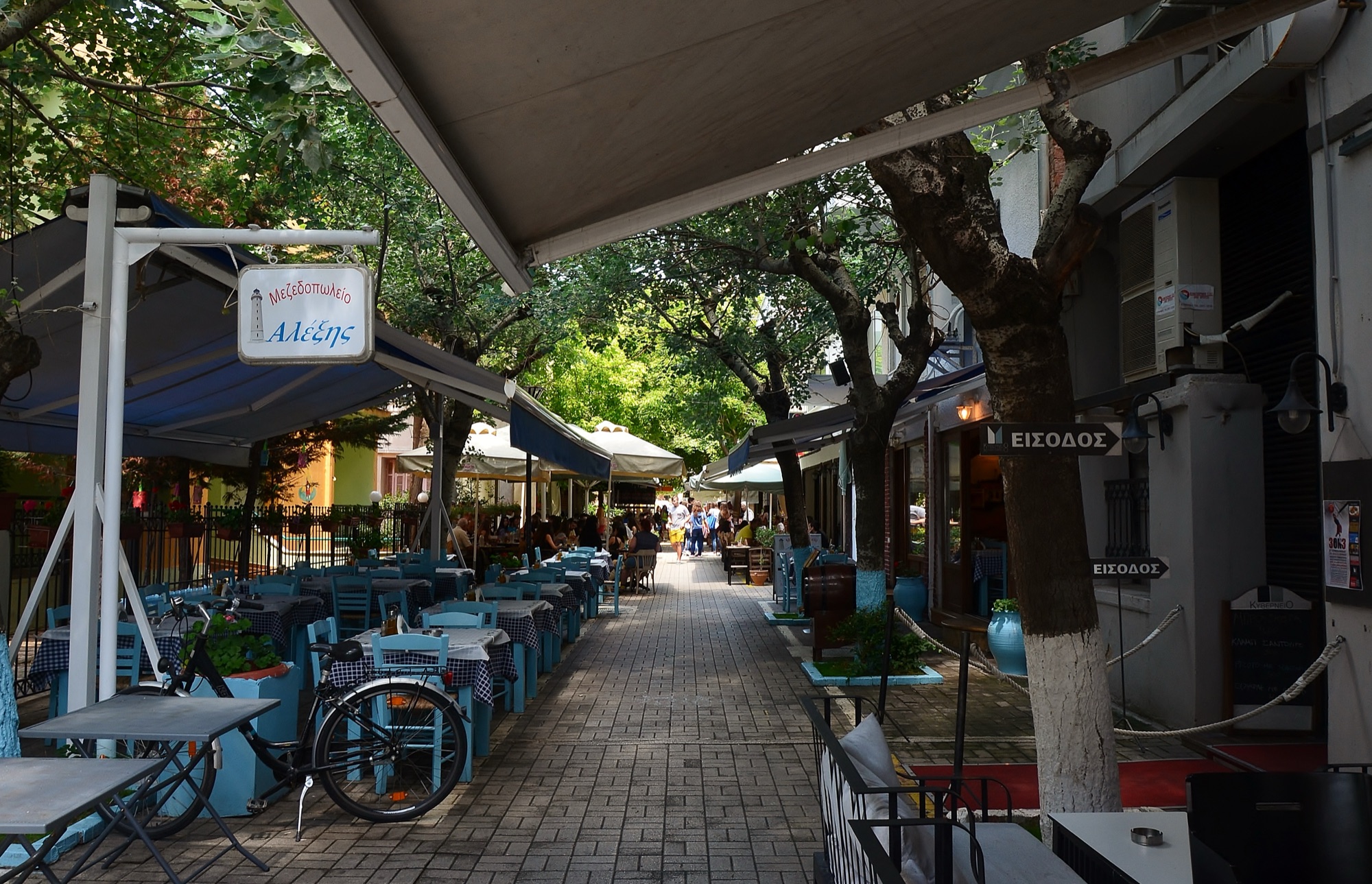 A busy taverna terrace on a tree-lined pedestrian street in Alexandroupolis