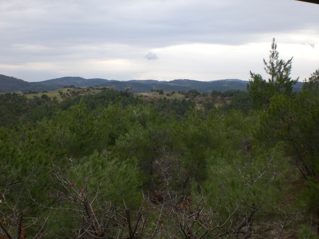 Dadia Forest National Park
