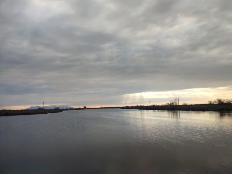 Evros Delta Boat Tour