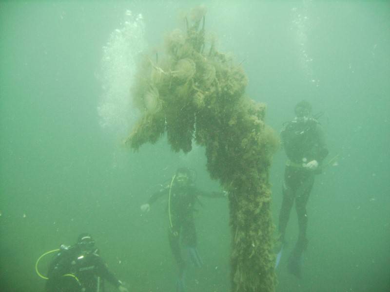Scuba Diving with Go Extreme Adventure Club