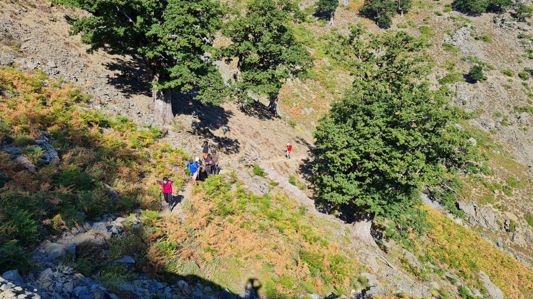 Guided Hiking on Mount Saos, Samothraki