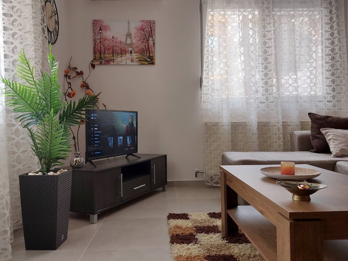 Elena's City Center Apartment